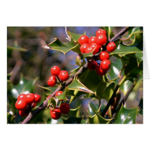 Holly Berries Card Hälsningskort