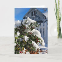 Holly Berries i Snö - Martha's Vineyard