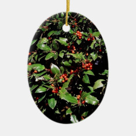 "Holly & Berries" jul 2025 Ornament
