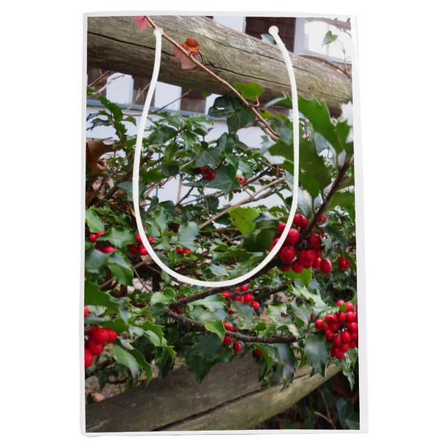 Holly Berries och Fence - Martha's Vineyard (Framsidan)