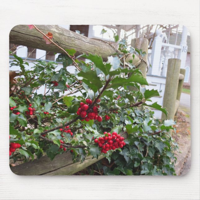Holly Berries och Fence - Martha's Vineyard Musmatta (Framsidan)
