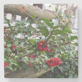 Holly Berries och Fence - Martha's Vineyard Stenunderlägg