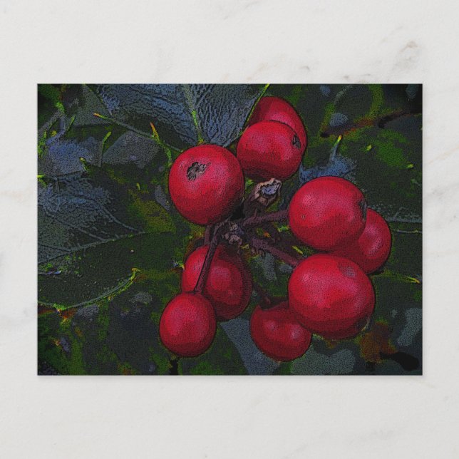Holly Berries Postcard Vykort (Framsida)