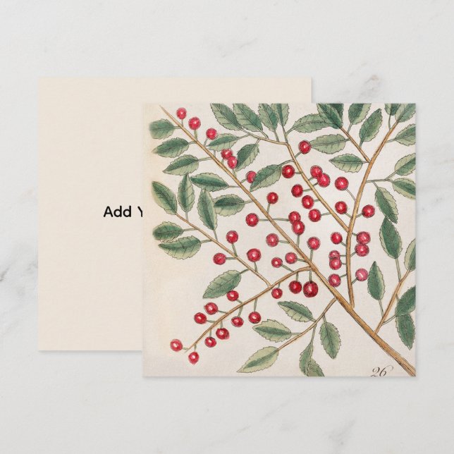 Holly Berry Holiday Vinter Jul  Inbjudningar (Fram/baksida)