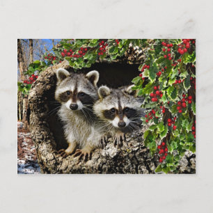 "Holly Berry-Twillingarna" Vykort