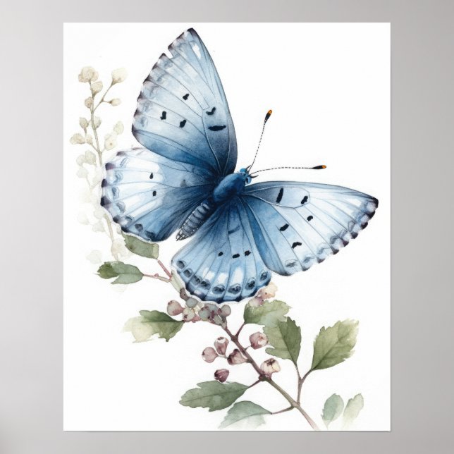 Holly Blue Butterfly Art Print Poster (Framsidan)
