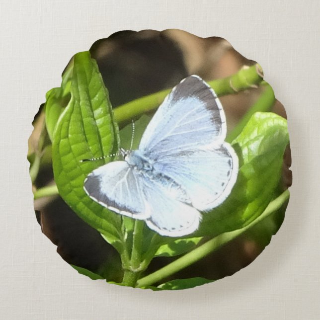 Holly Blue Butterfly Round Pillow Rund Kudde (Framsidan)
