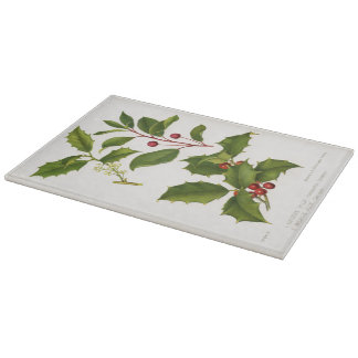 Holly Botanical Illustration jul