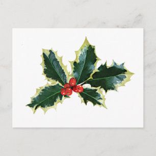 Holly Brownells Variegate Vykort