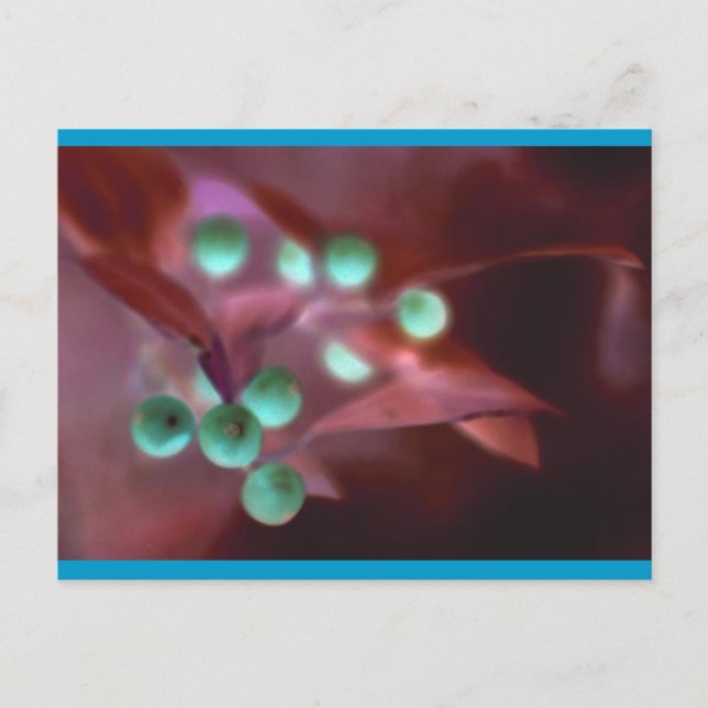 Holly Helg Vykort (Framsida)