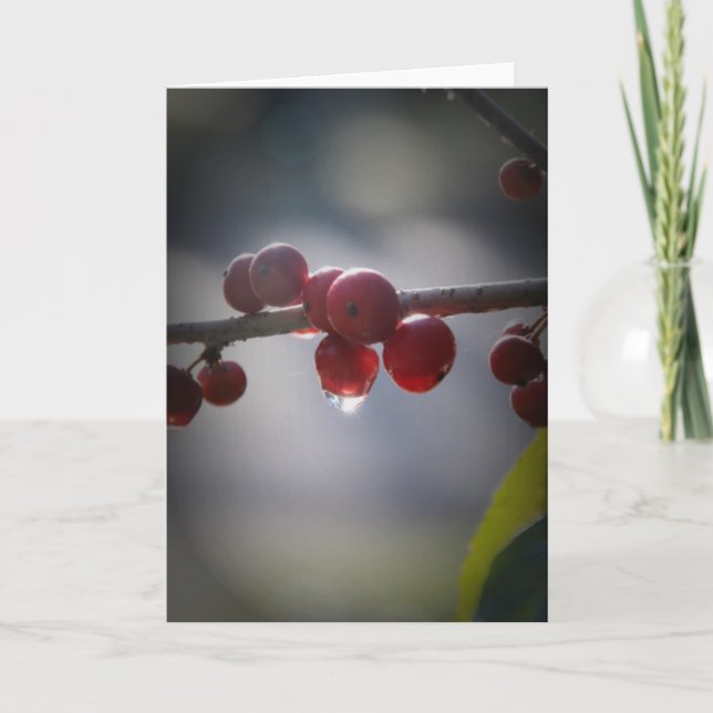 Holly i Vatten Droplets Greeting Card Kort (Framsida)