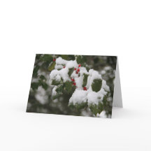 Holly in Fresh Snö, Blank Card, Använda för anteck
