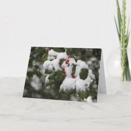 Holly in Fresh Snö, Blank Card, Använda för anteck Helgkort