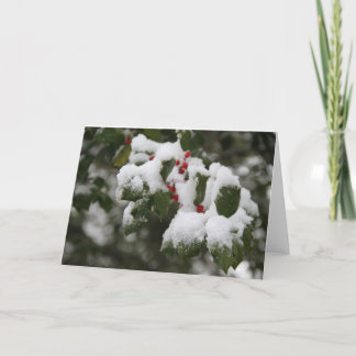 Holly in Fresh Snö, Blank Card, Använda för anteck Helgkort