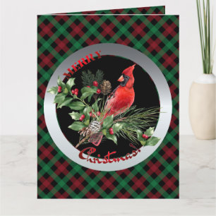Holly Jolly Cardinal Hälsning från jul Kort