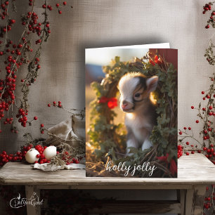 Holly Jolly Nigerian Dwarf Baby Goat Kort
