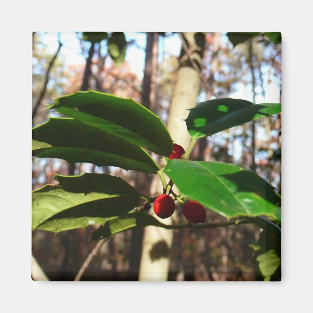 Holly Lövs I Helgdag Botanical Magnet (Framsidan)