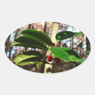 Holly Lövs I Helgdag Botanical Ovalt Klistermärke