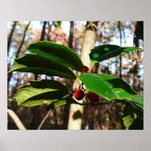 Holly Lövs I Helgdag Botanical Poster