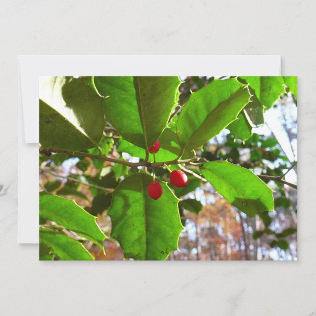 Holly Lövs II Helgdag Nature Botanical Julkort (Framsida)