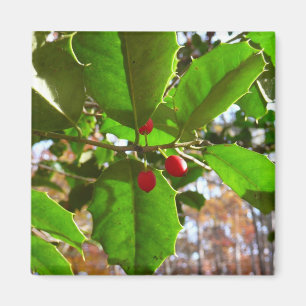 Holly Lövs II Helgdag Nature Botanical Magnet