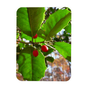 Holly Lövs II Helgdag Nature Botanical Magnet