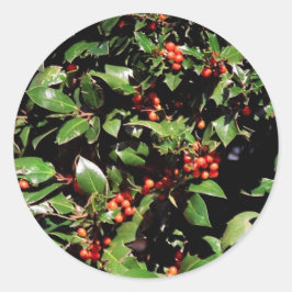 Holly och Berries Stickers Runt Klistermärke