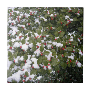 Holly och Snö Kakelplatta