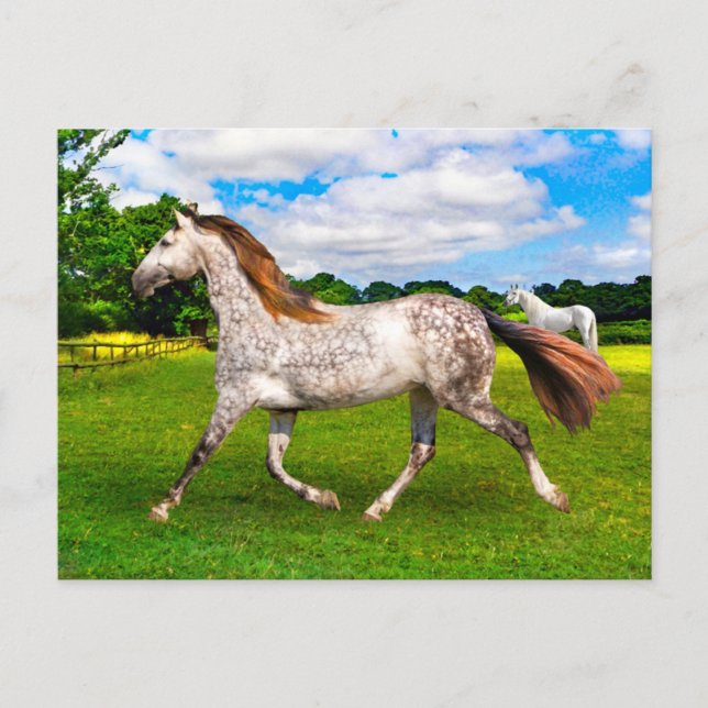 "Holly on Move"-vykort Vykort (Framsida)