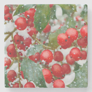 Holly Red Berry-julsäsongen Underlägg Helgdag