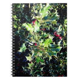 Holly, röda bär anteckningsbok