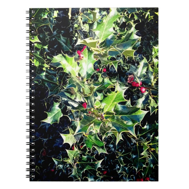 Holly, röda bär anteckningsbok (Framsidan)