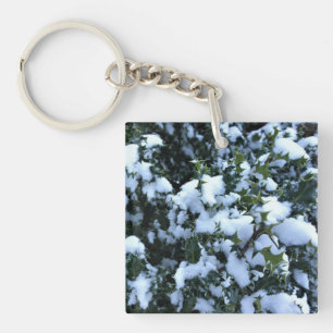 Holly täckt av snö