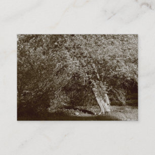 Holly Träd - Sepia Visitkort