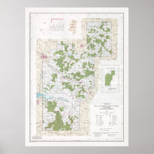 Holly Vår Nationalskogen Karta (1991) Poster