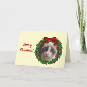 Holly Wandey Ram Meowy jul Lägg till ett kattfoto Helgkort