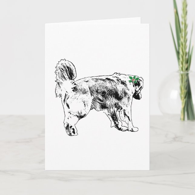 Holly Wink Retriever Kort (Framsida)