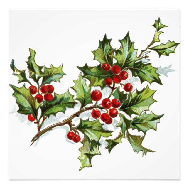 HollyBerries20150801 Fototryck (Framsidan)