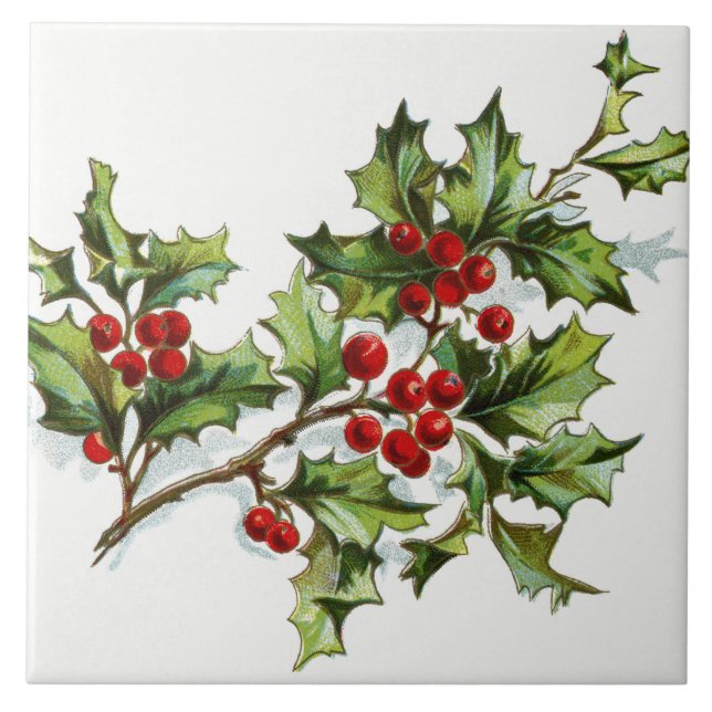 HollyBerries20150801 Kakelplatta (Framsidan)