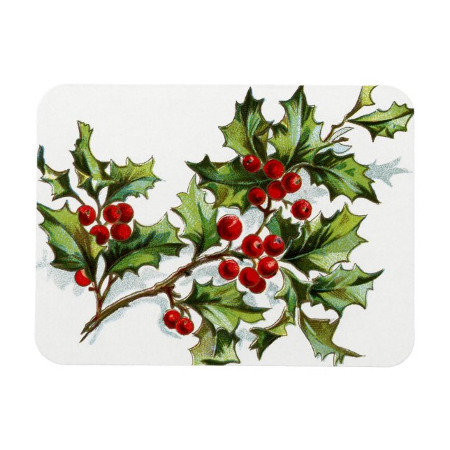 HollyBerries20150801 Magnet (Horisontell)