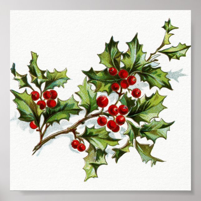 HollyBerries20150801 Poster (Framsidan)