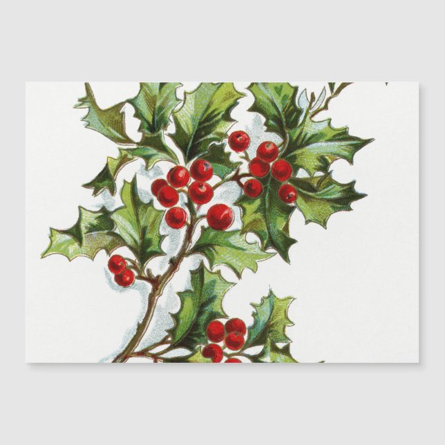 HollyBerries20150802 (Framsida)