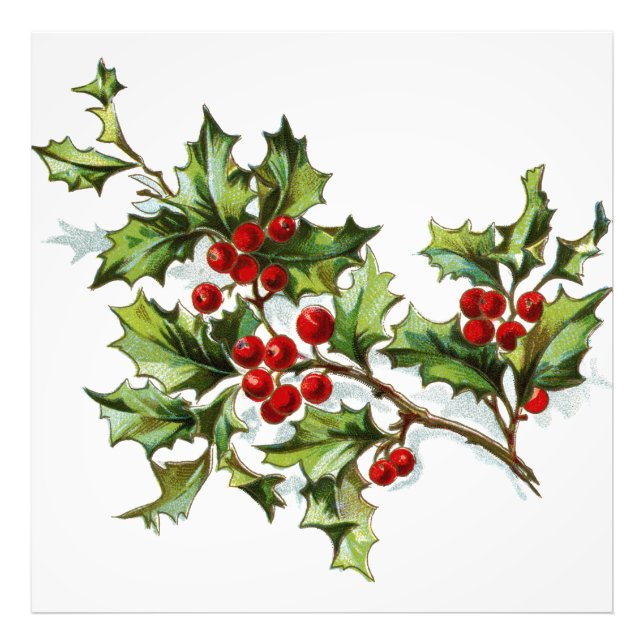 HollyBerries20150802 Fototryck (Framsidan)