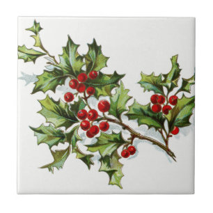 HollyBerries20150802 Kakelplatta