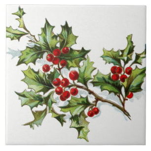 HollyBerries20150802 Kakelplatta