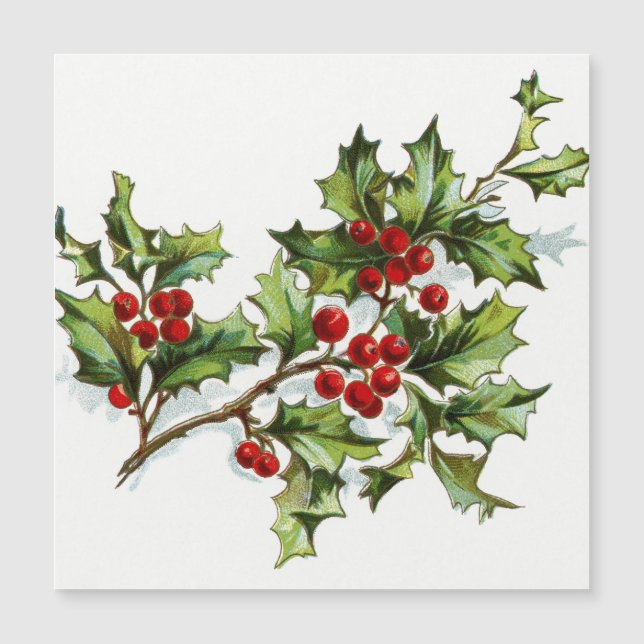 HollyBerries 001 (Framsida)