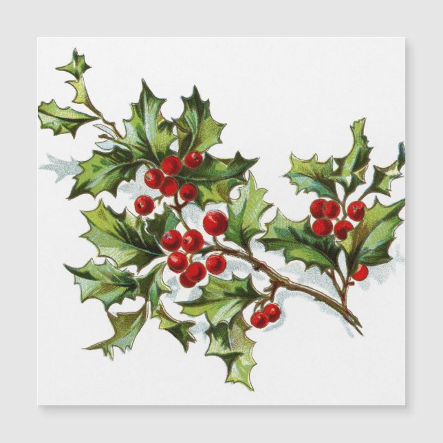 HollyBerries 002 (Framsida)