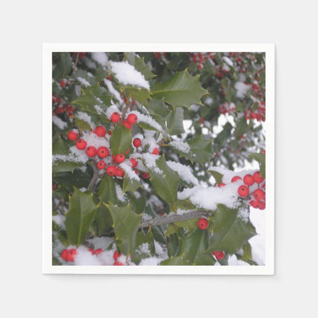 "Hollyberry!" Pappersservett (Framsidan)