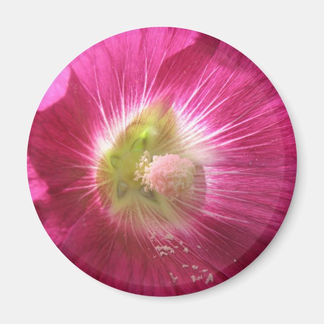 Hollyhock Deep Rosa Magnet (Framsidan)