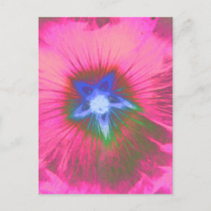 Hollyhock Flower Rosa Velvet Postcard Vykort